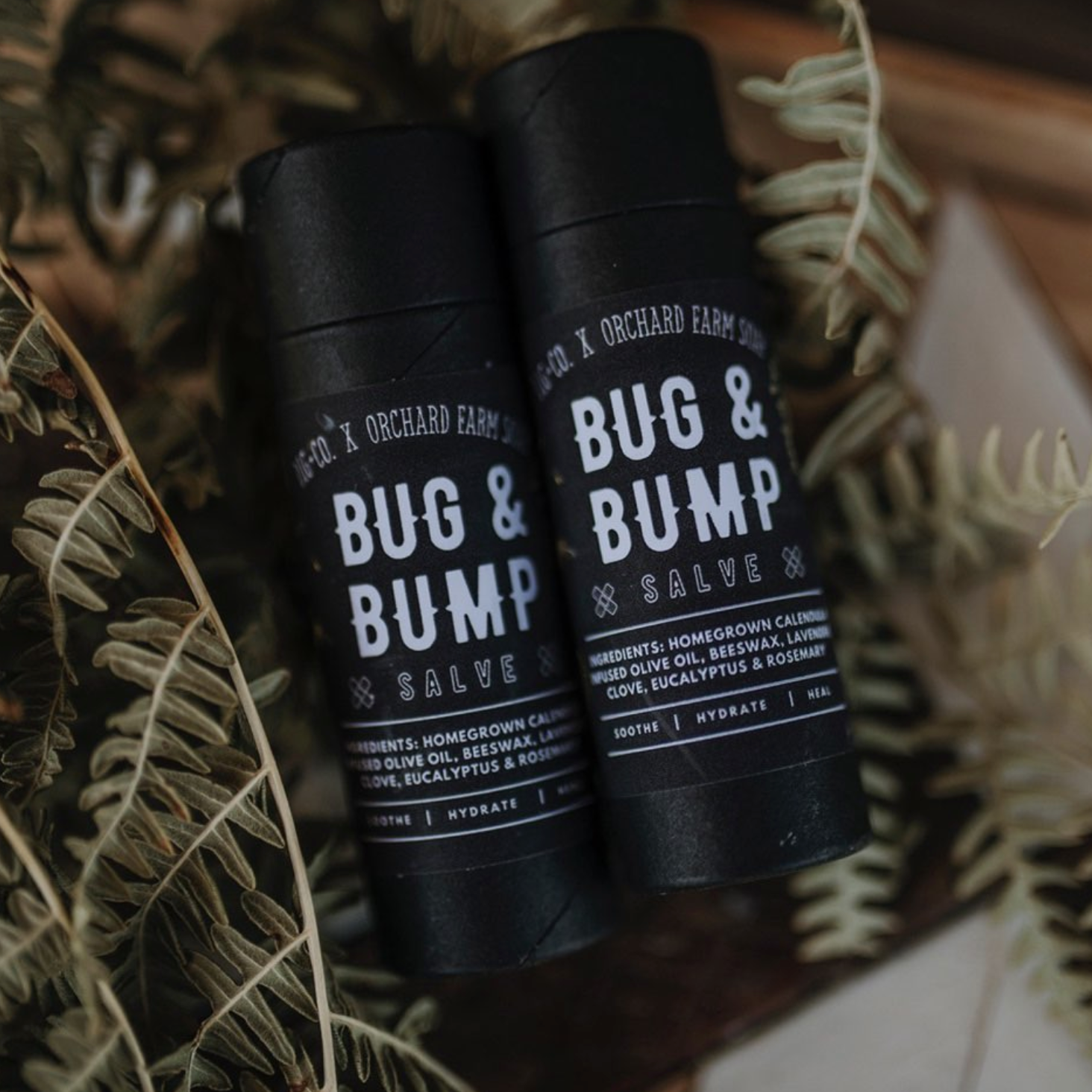 Two black tubes of Bug & Bump Salve are placed on small ferns. 