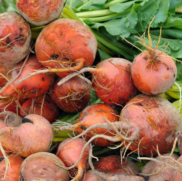 Beet Organic Seed / Brigadier Golden Sweet Fodder