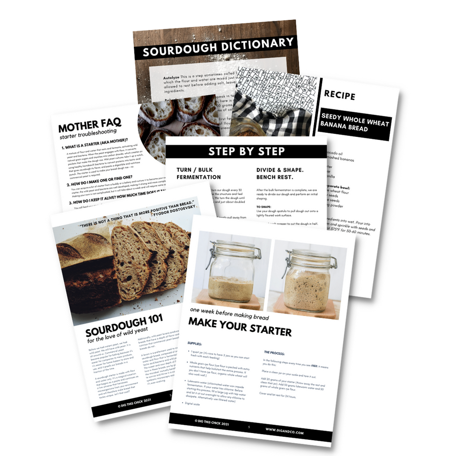 The Heart of Sourdough Bread Baking / Digital Live Workshop / April 1, 2023