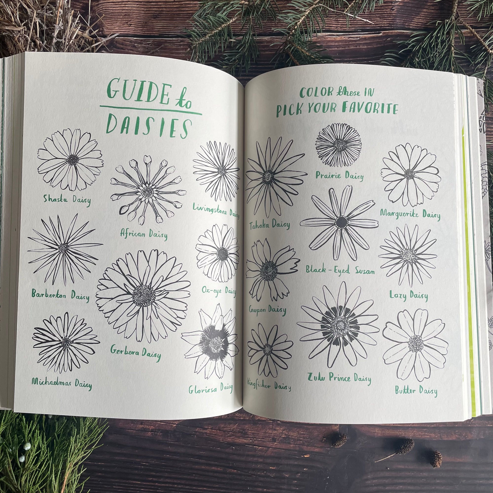 Hello Nature: Draw, Color, Make, and Grow Activity Book