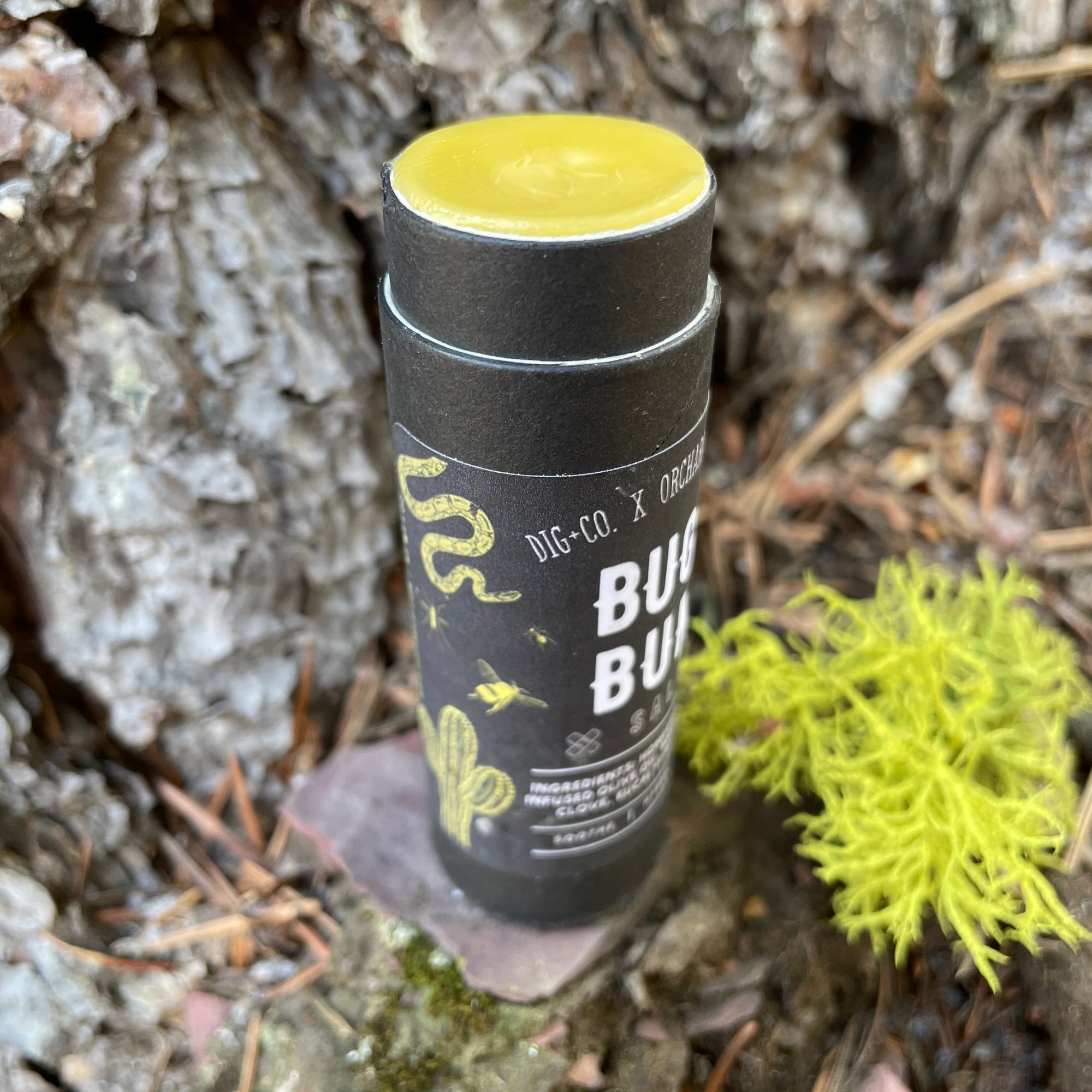 An open tube of bug and bump salve is placed on a rock outdoors next to a bright green piece of lichen. 