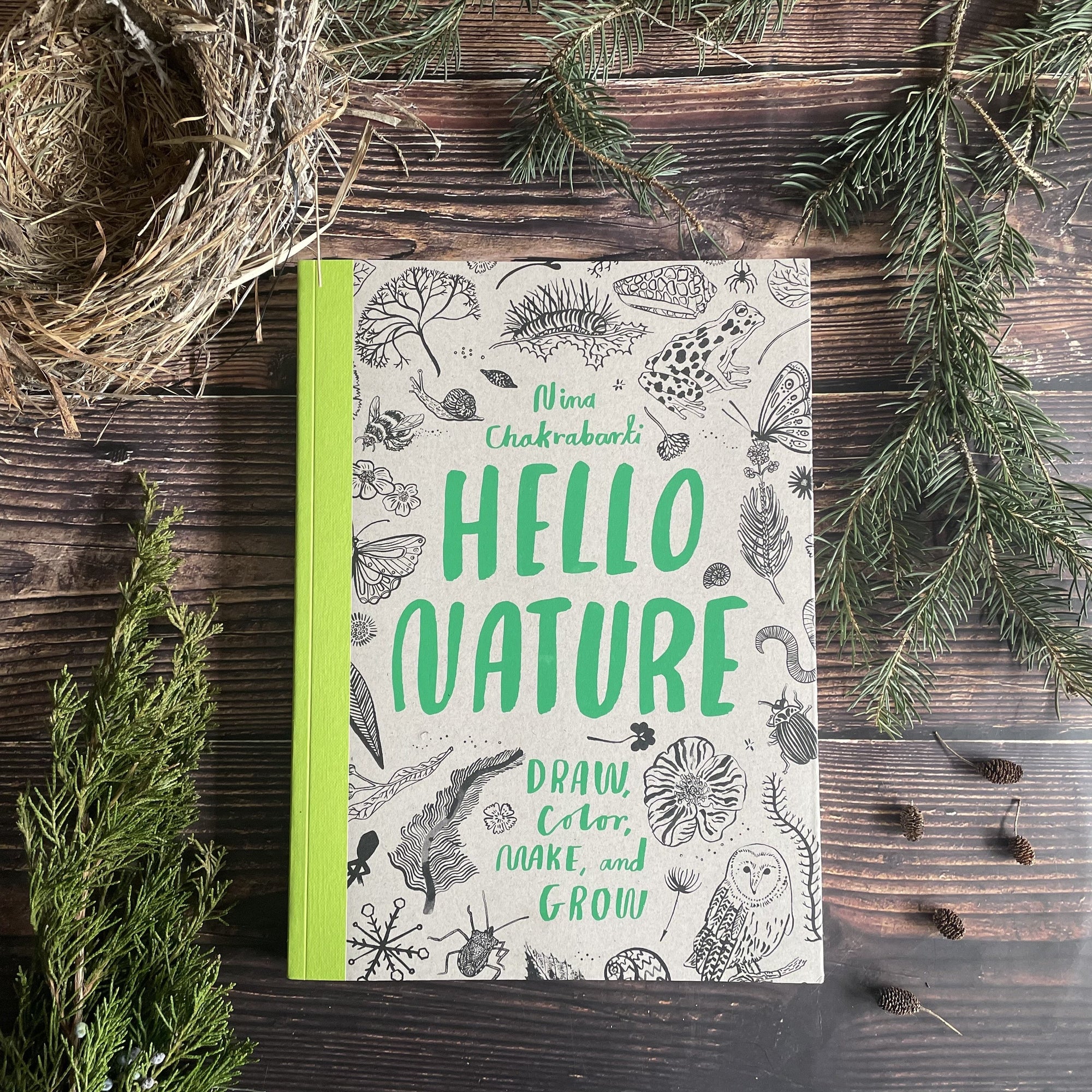 Hello Nature: Draw, Color, Make, and Grow Activity Book