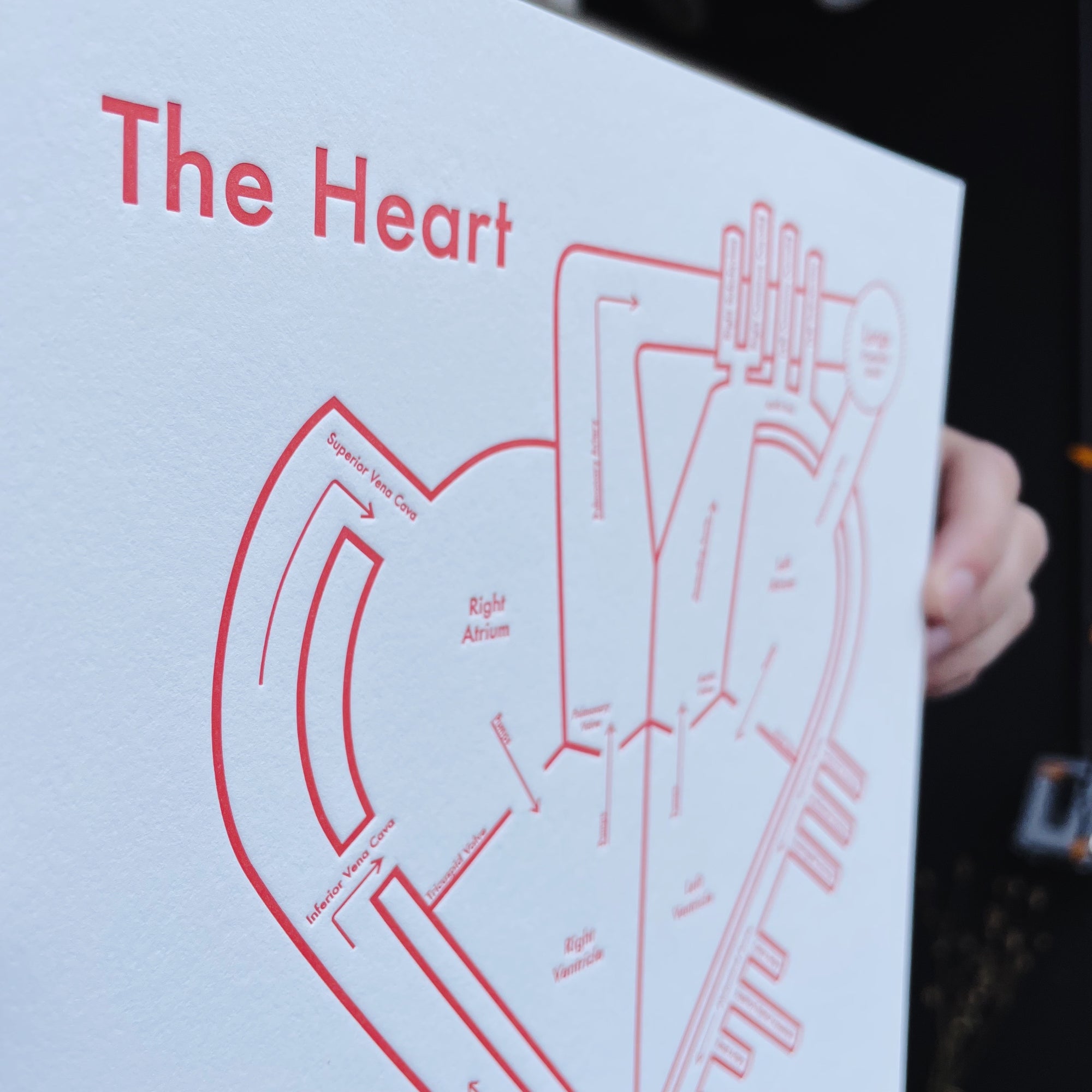 Map of the Heart / Letterpress Print